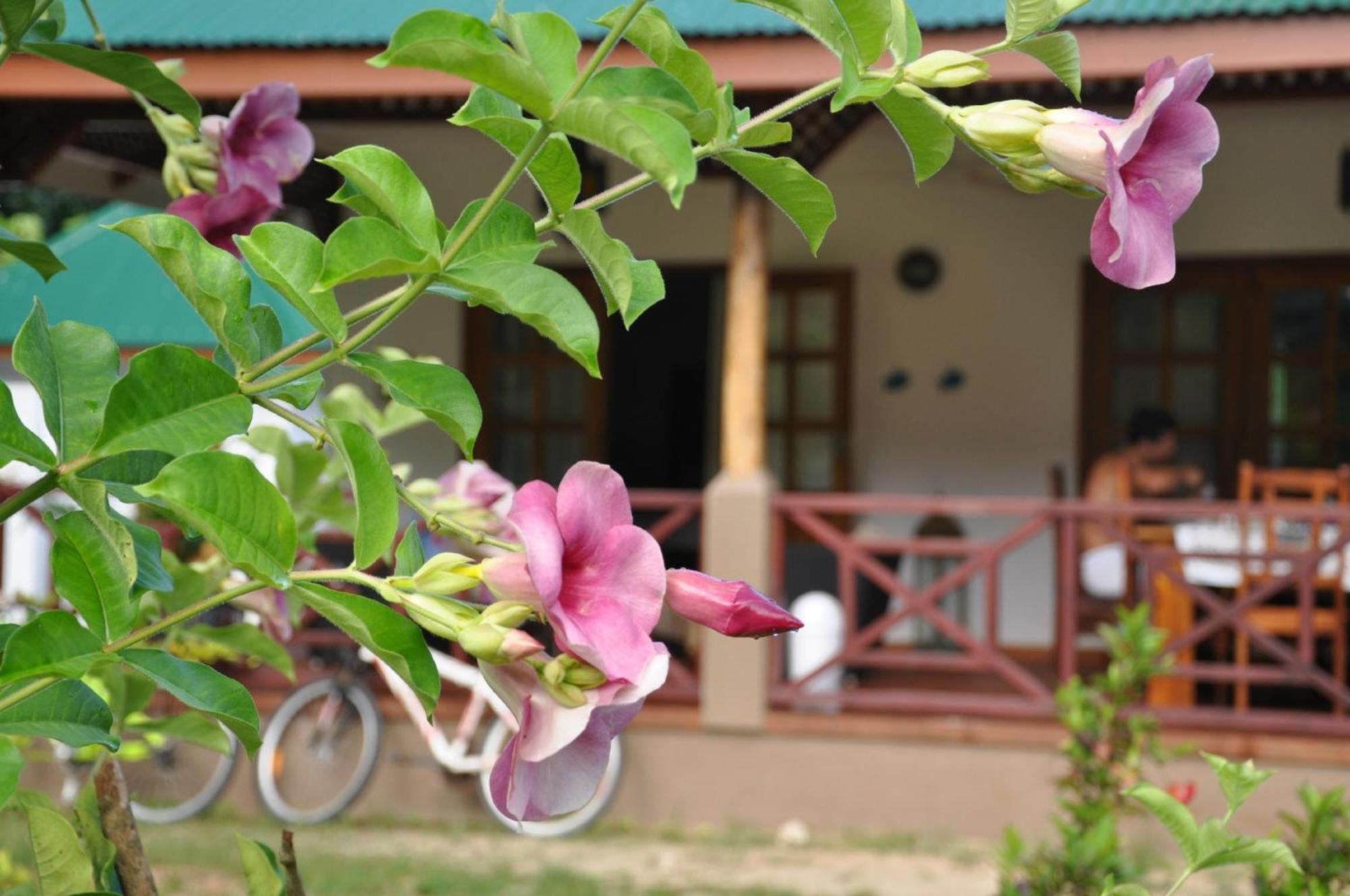 Paodise Guesthouse La Digue Exterior photo